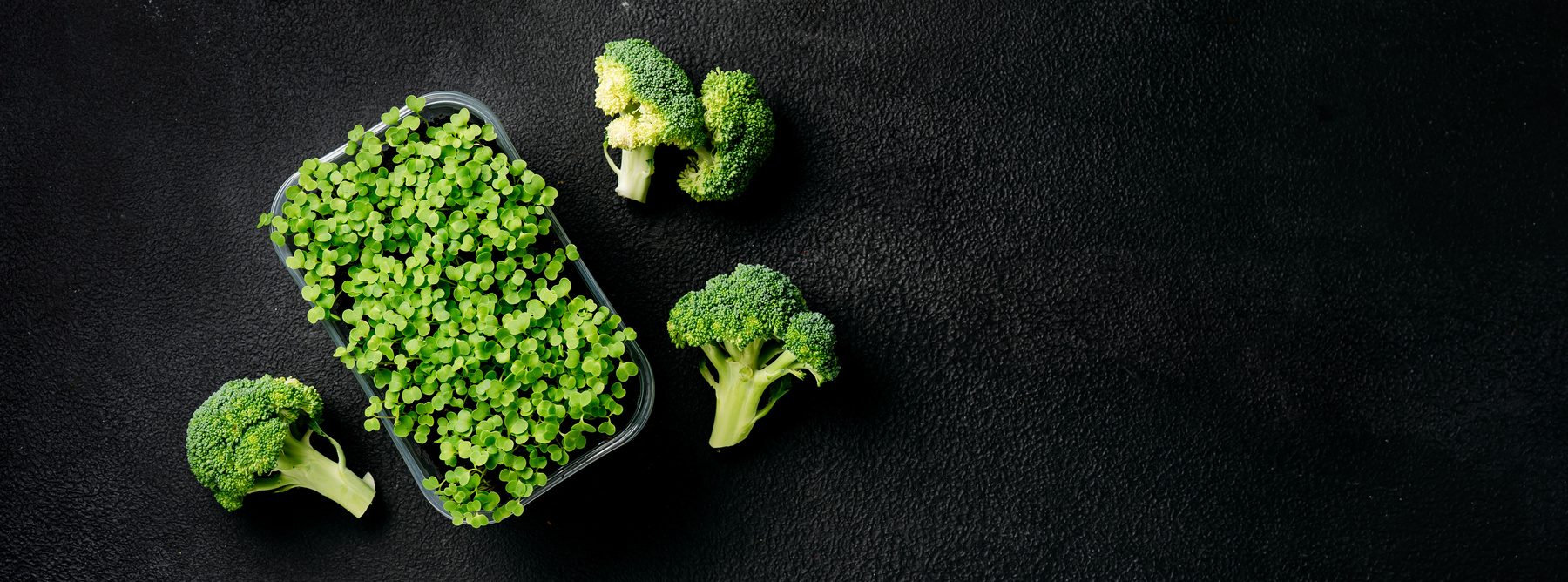 Broccoli rich in sulforaphane phytochemical and antioxidants