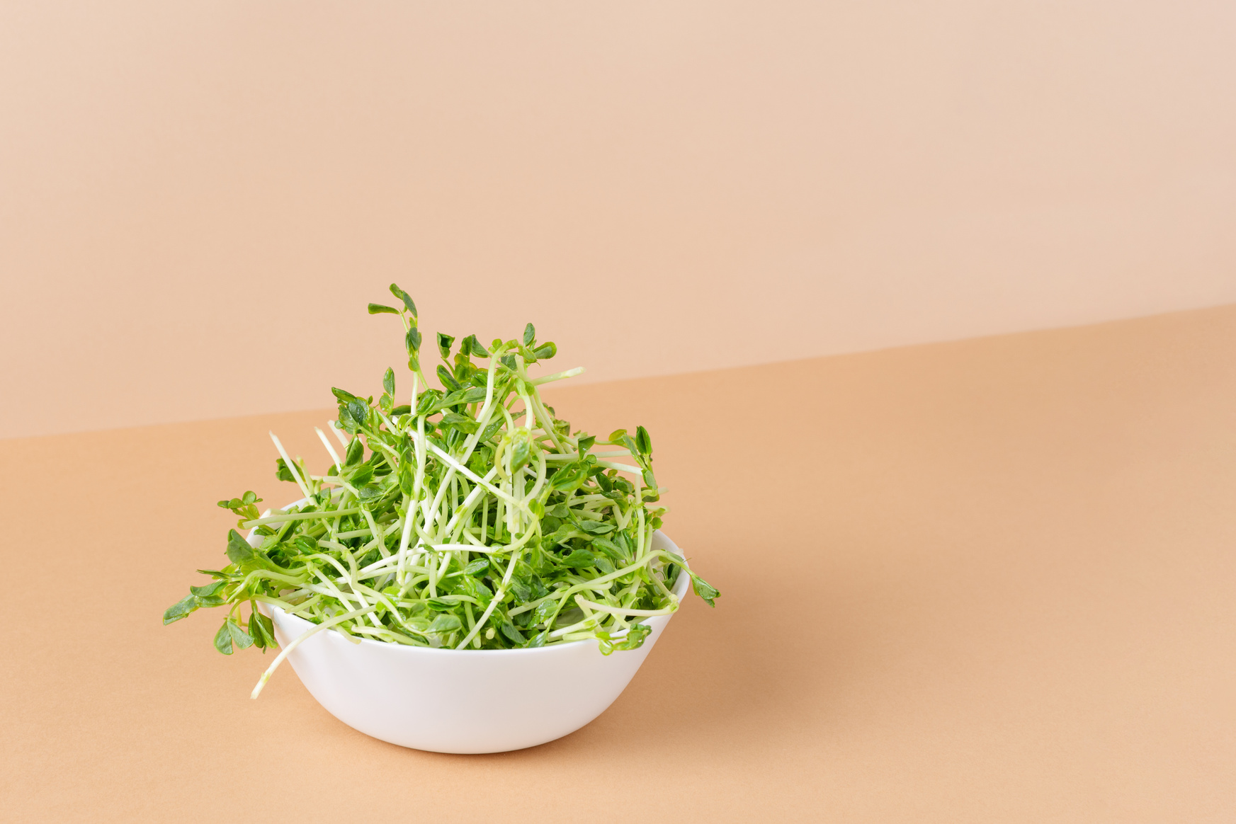 Bowl with Peas Microgreens